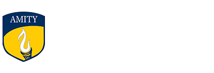 Bachelor of International Business & Marketing - Amity Global Institute
