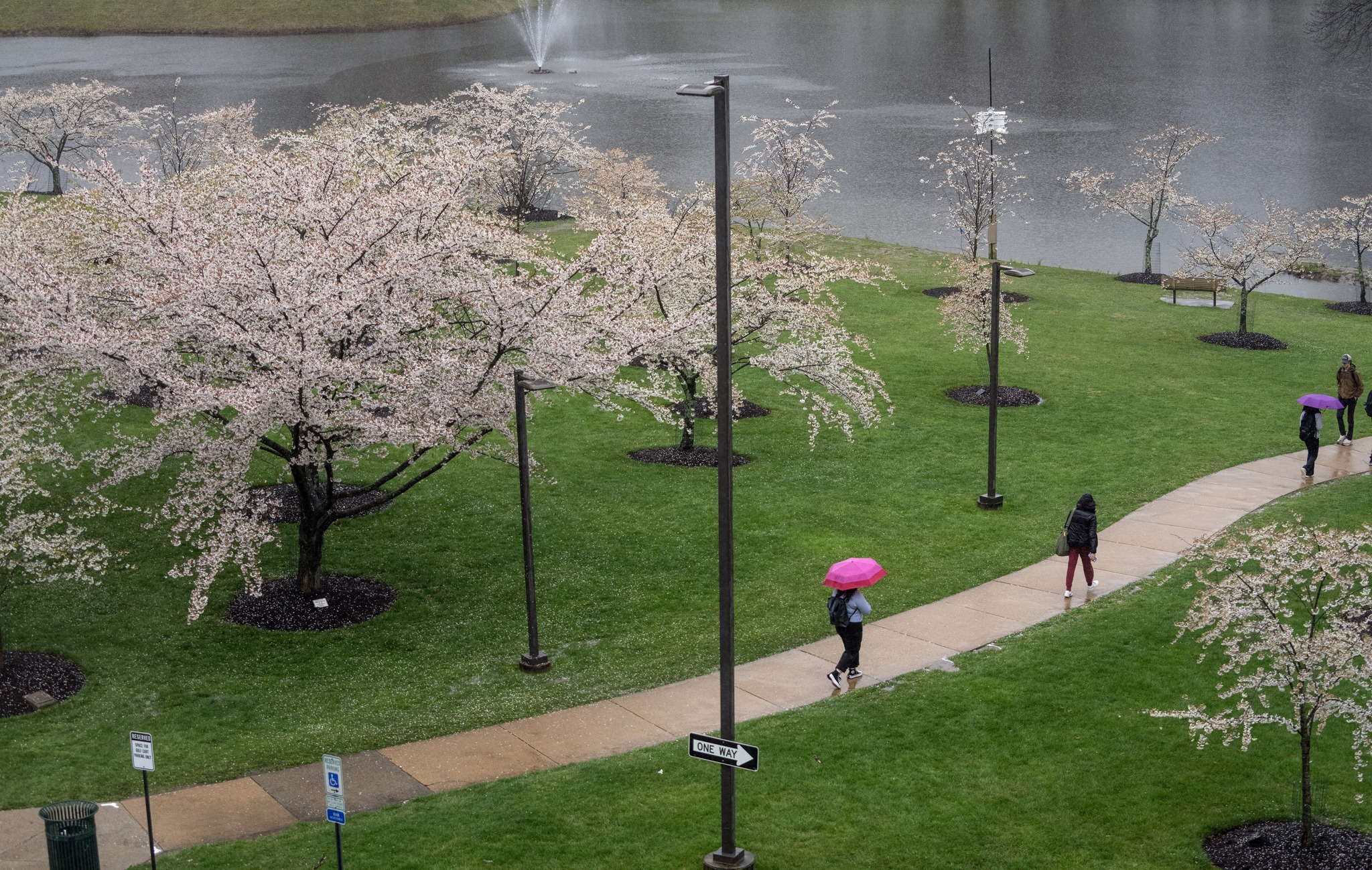 George Mason University campus