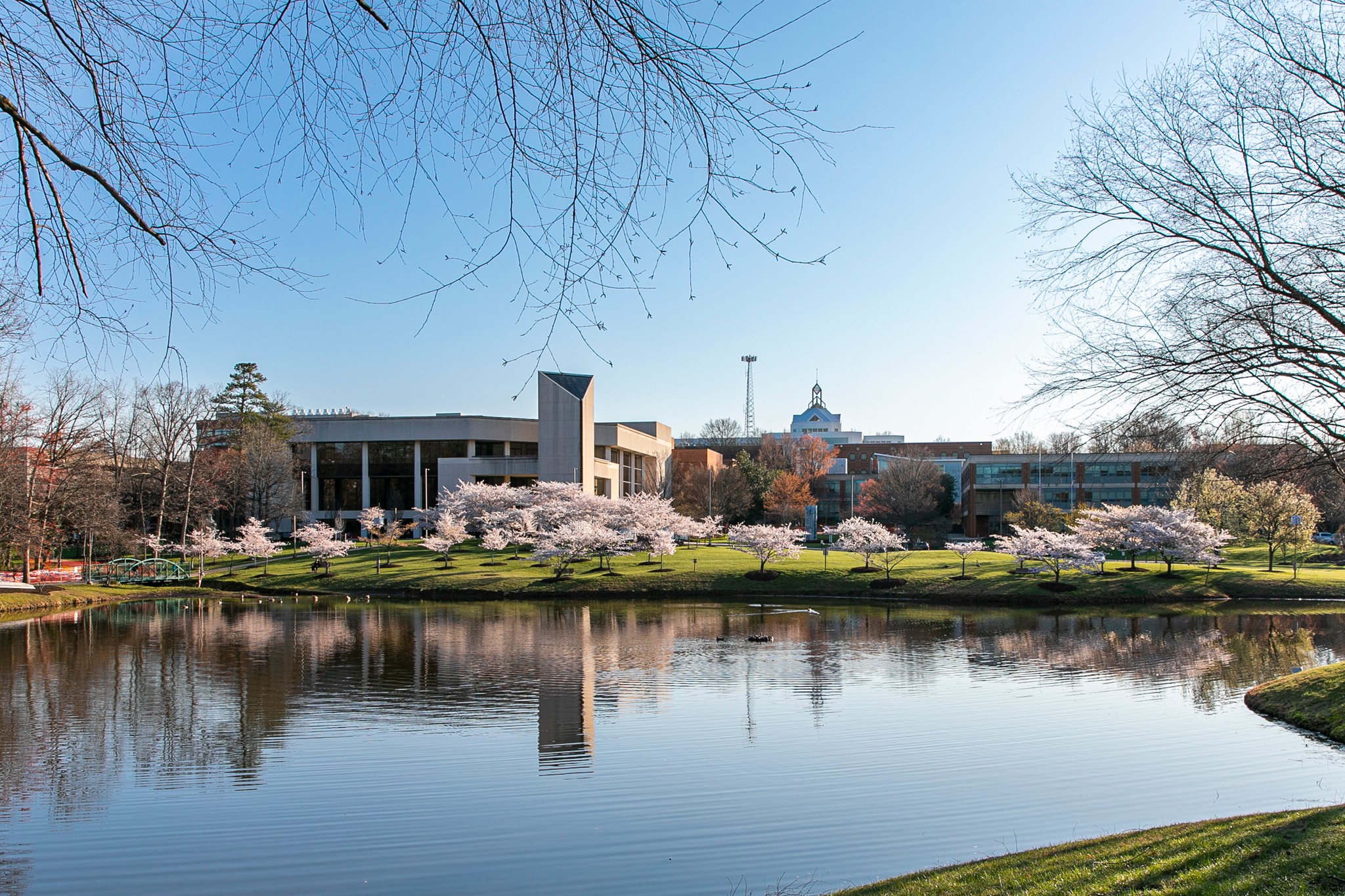 George Mason University campus 2